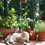 Country house Giarradea *