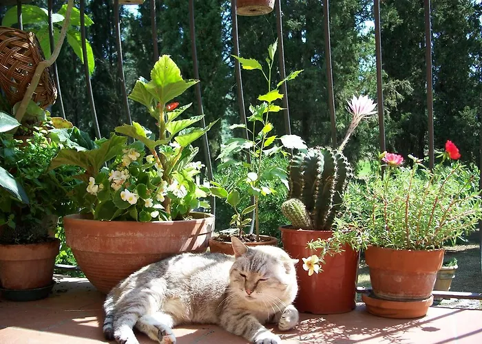 Εξοχικό σπίτι Giarradea *